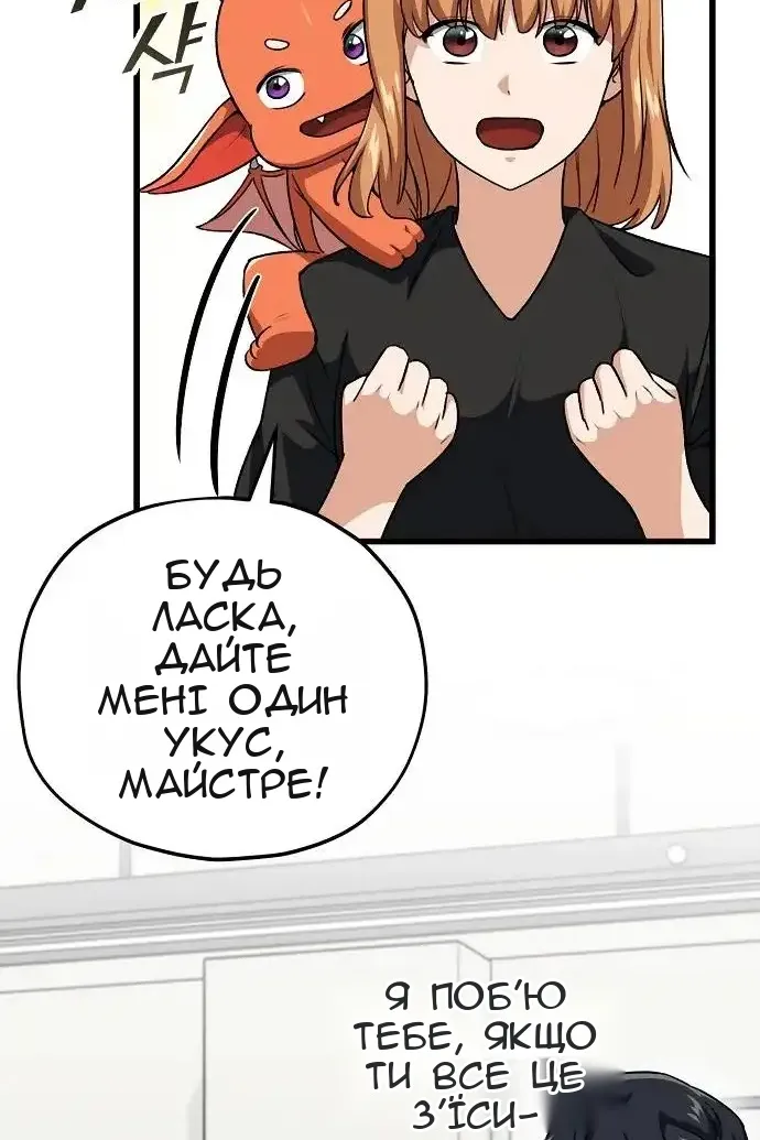 Сторінка 29