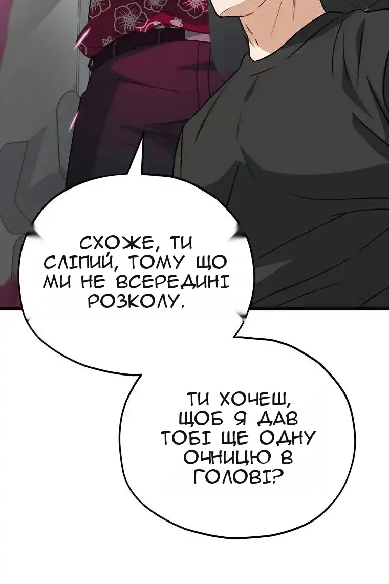 Сторінка 17
