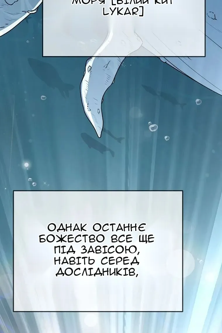 Сторінка 5