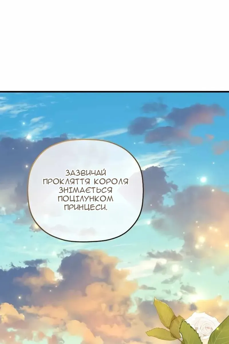 Сторінка 49