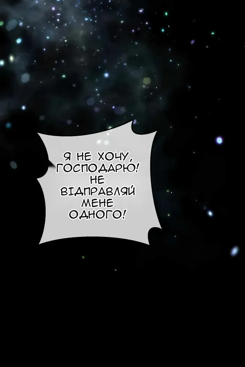 Сторінка 41