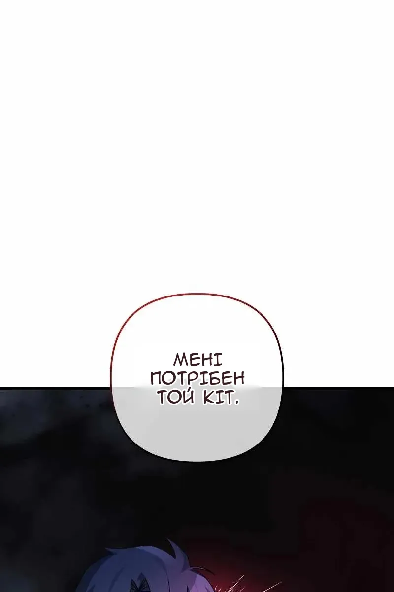 Сторінка 17