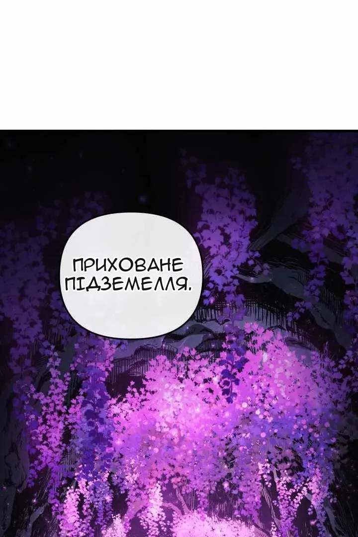 Сторінка 127