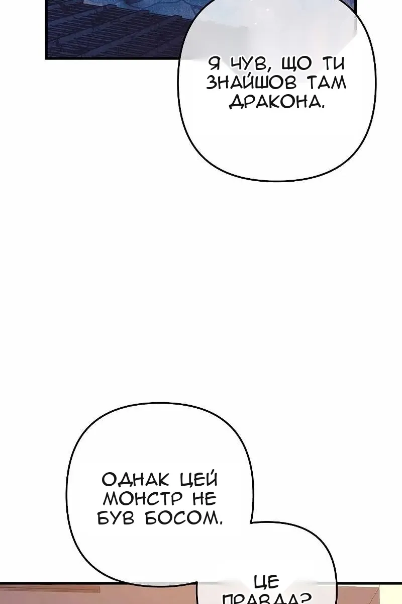 Сторінка 29