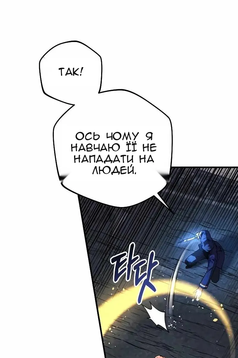 Сторінка 102