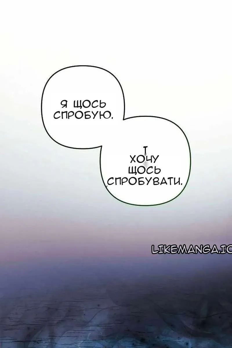 Сторінка 41