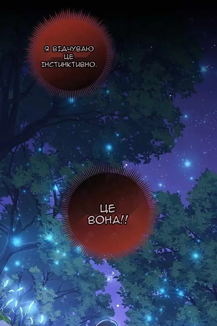 Сторінка 41