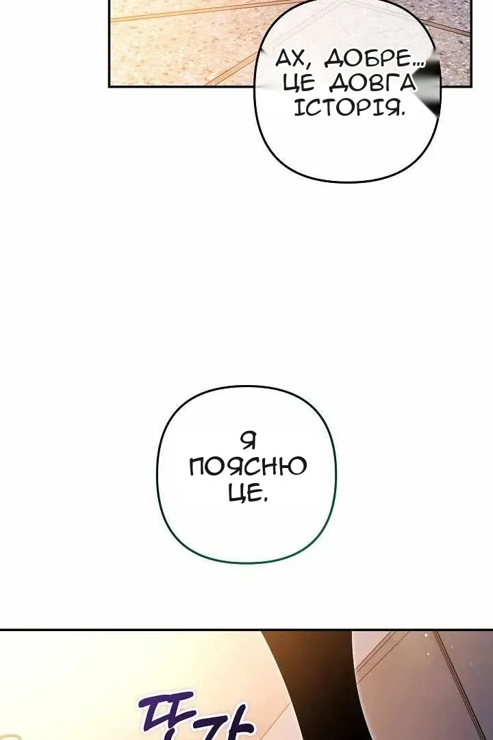 Сторінка 29