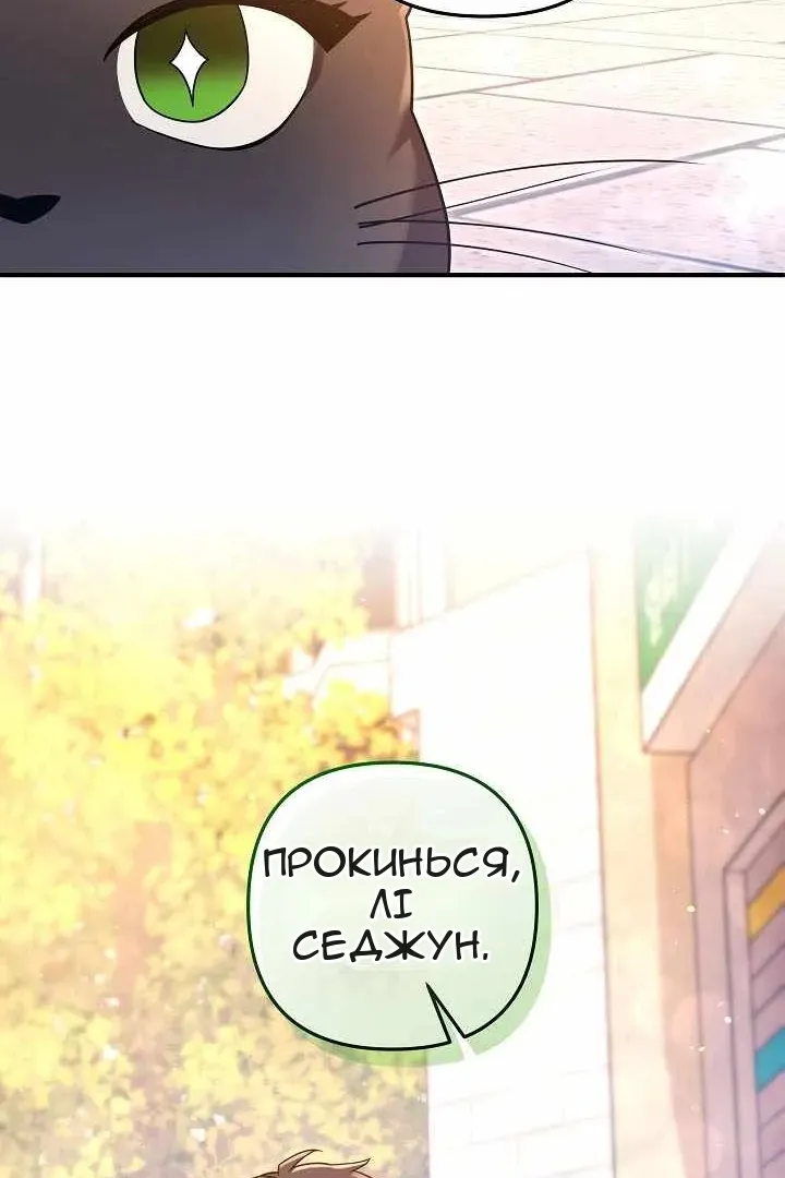 Сторінка 108