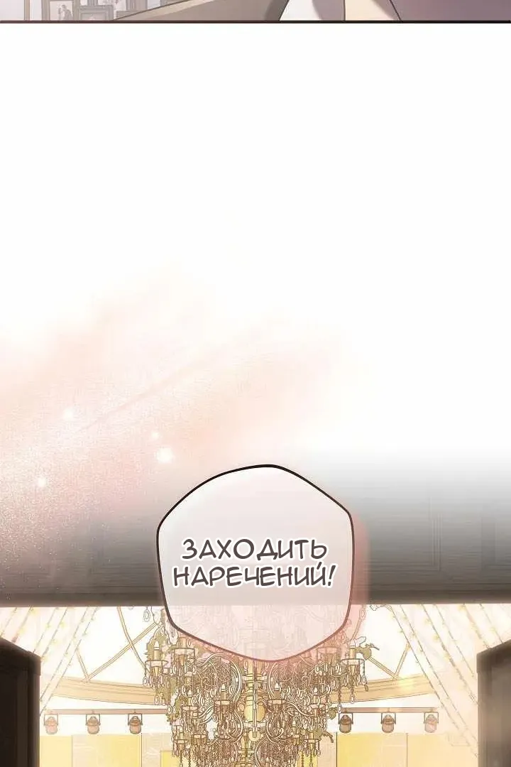 Сторінка 102