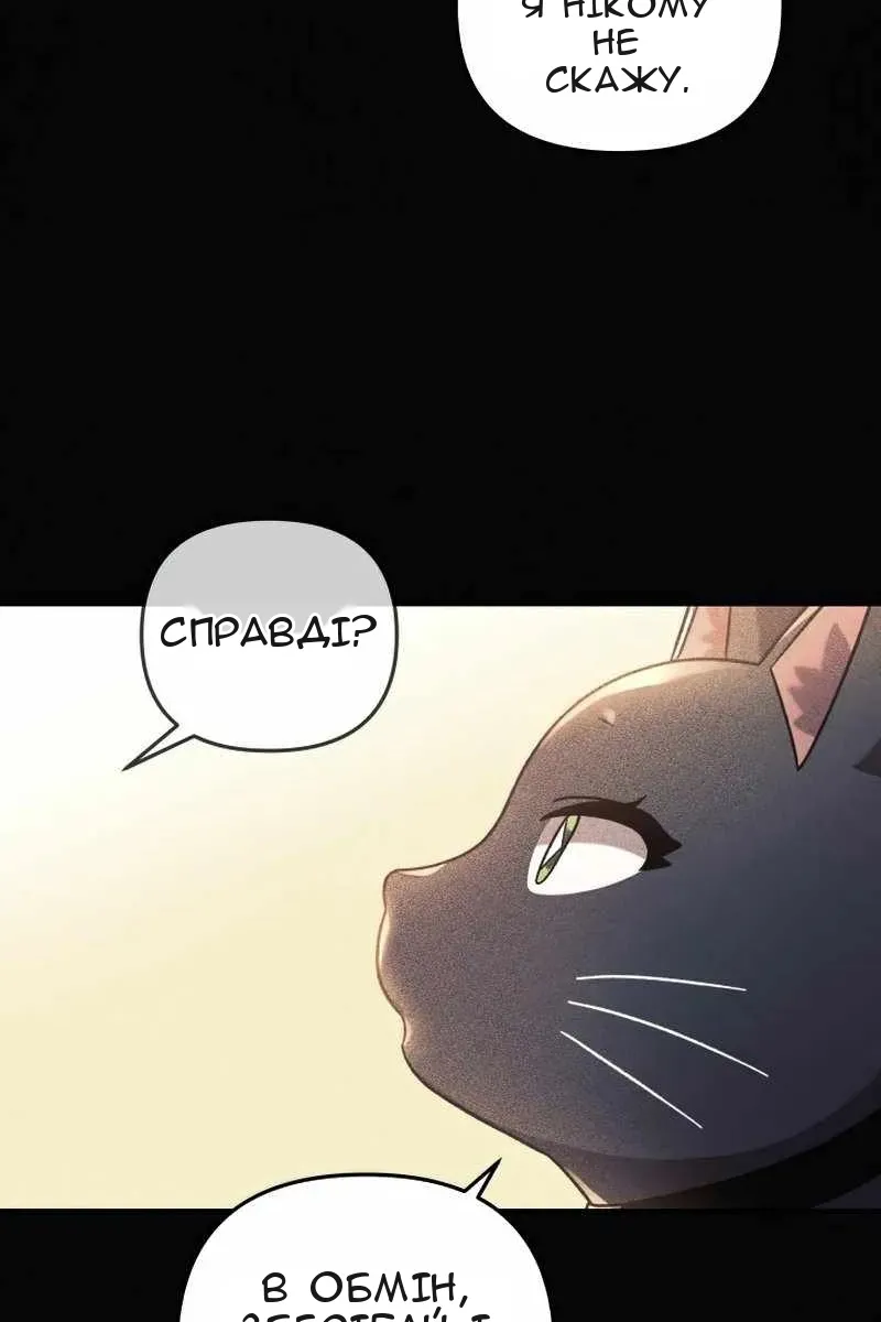 Сторінка 81