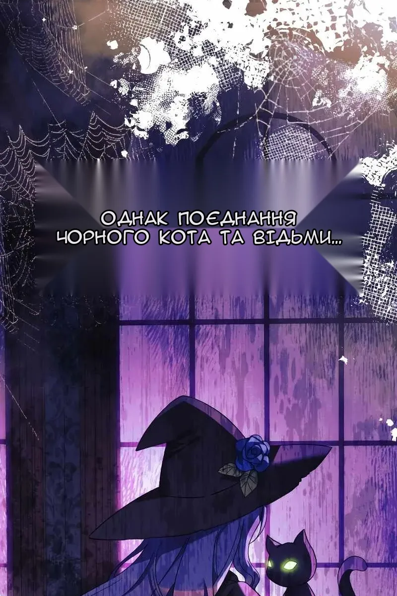 Сторінка 54