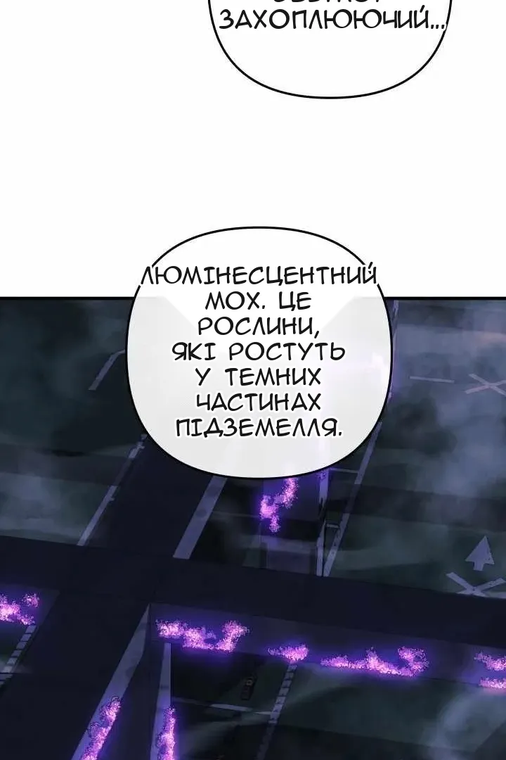 Сторінка 85