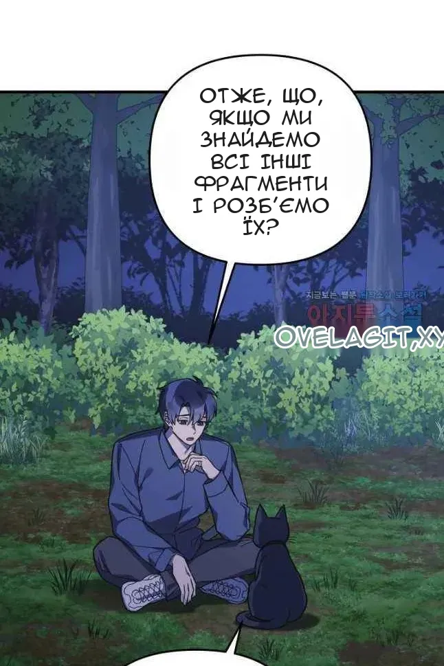 Сторінка 17