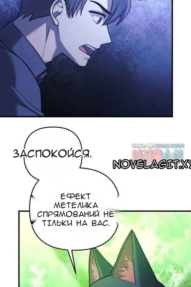 Сторінка 19