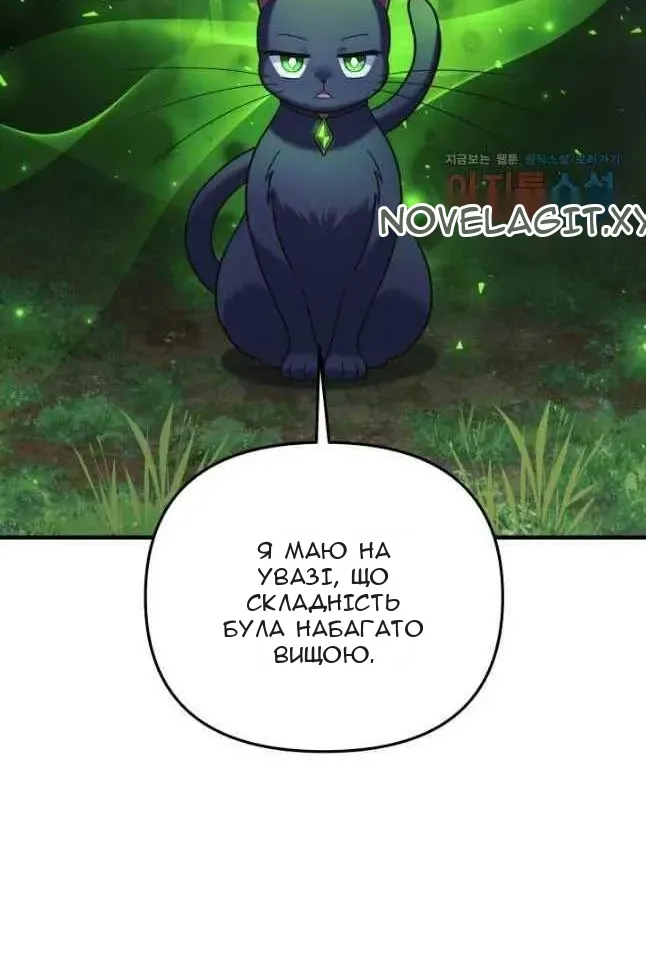 Сторінка 47
