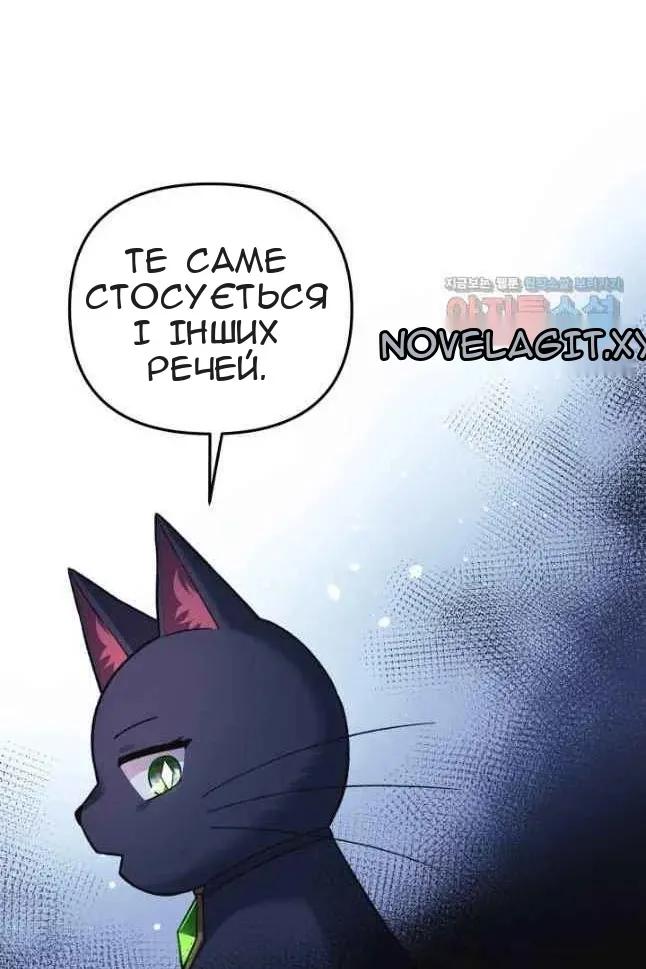 Сторінка 51