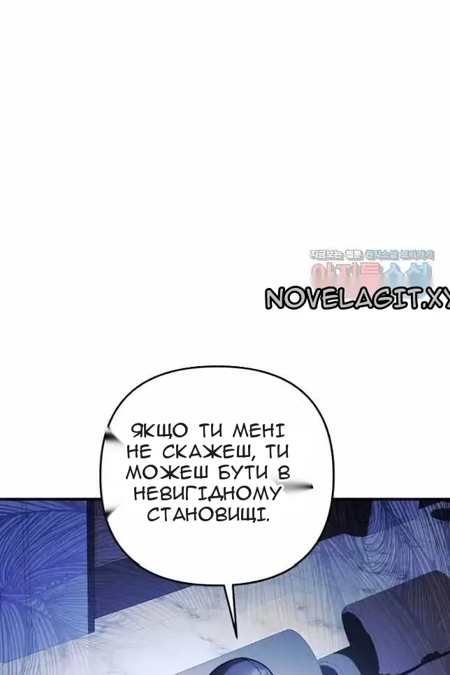 Сторінка 17