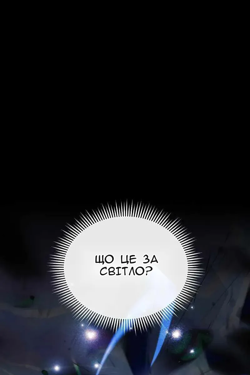 Сторінка 115