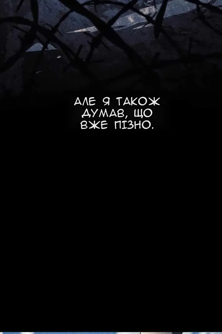 Сторінка 71