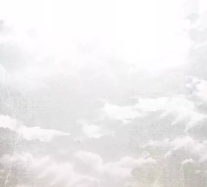 Сторінка 11