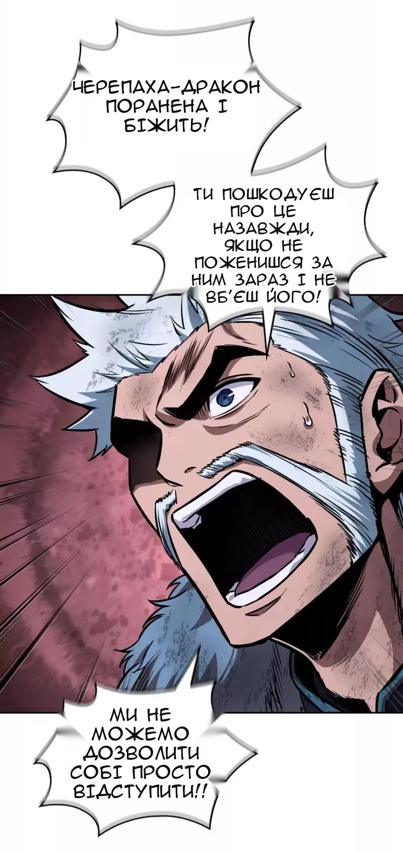 Сторінка 29