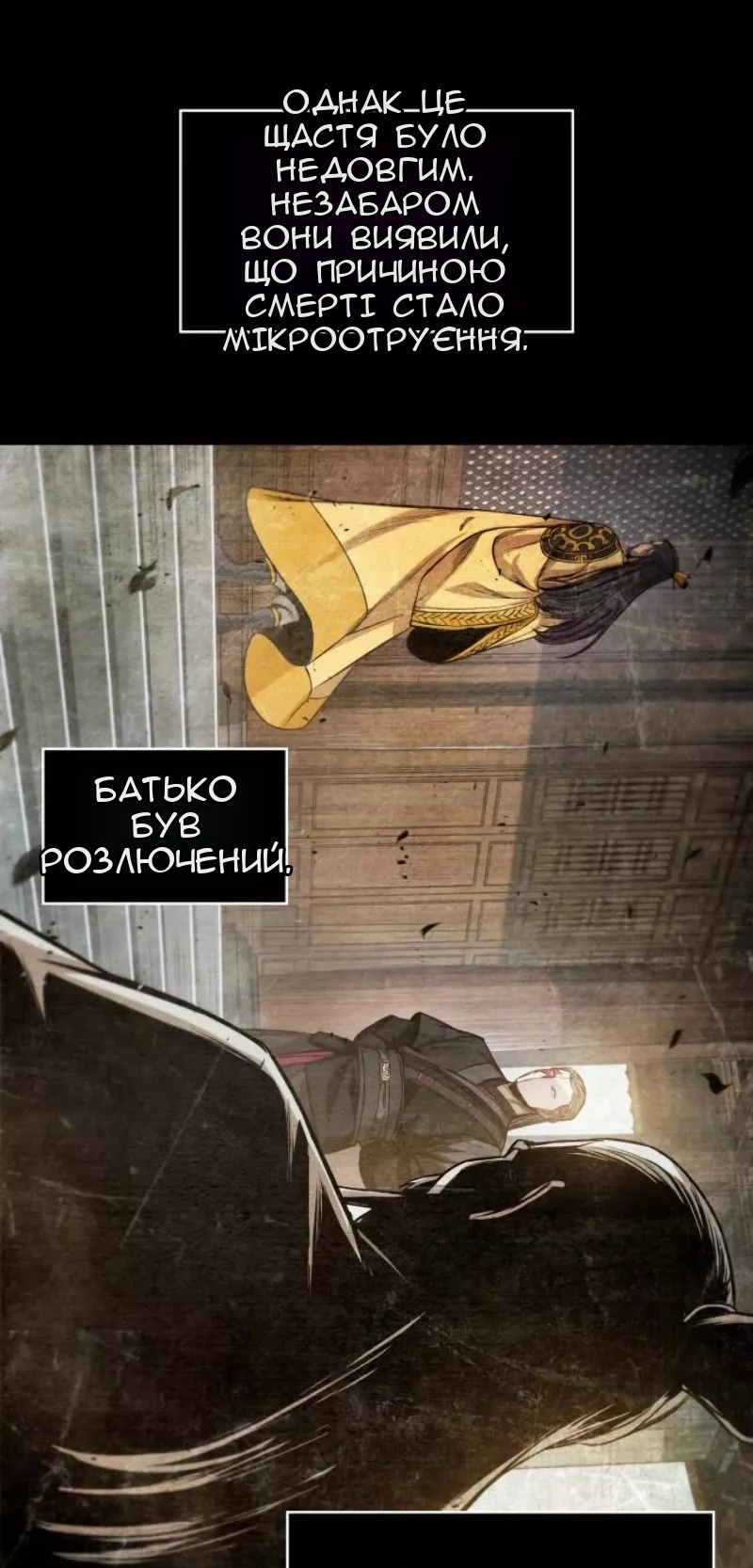 Сторінка 28