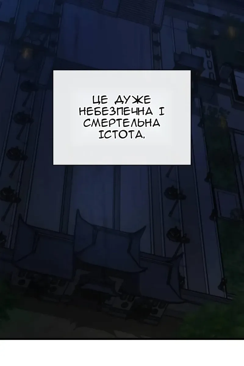 Сторінка 17