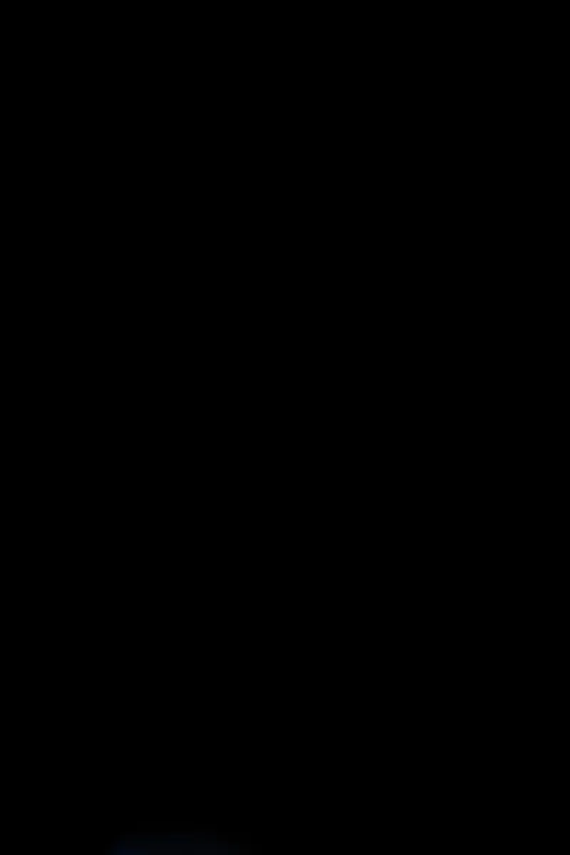 Сторінка 52