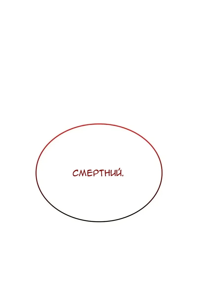 Сторінка 6