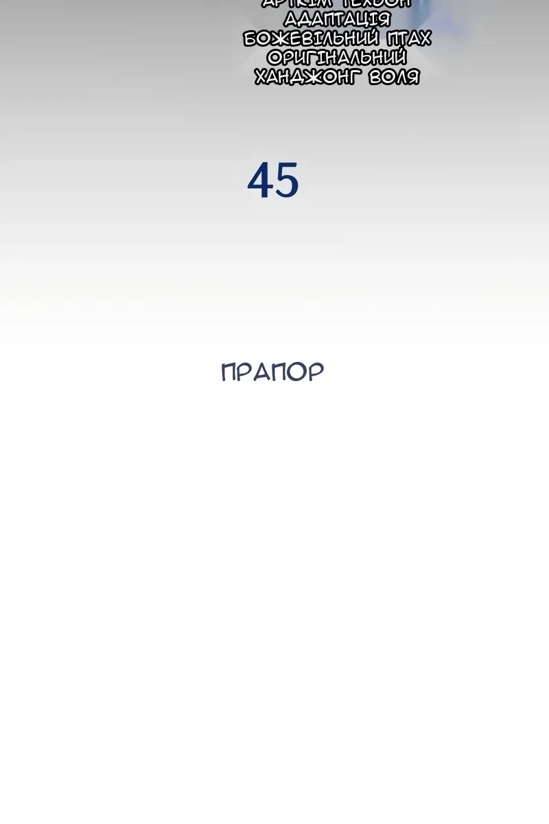 Сторінка 41