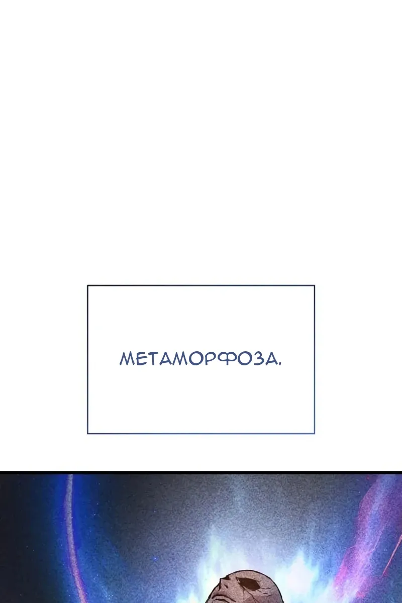 Сторінка 114
