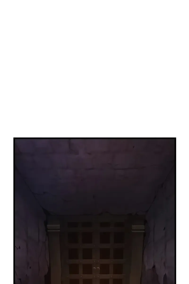 Сторінка 11
