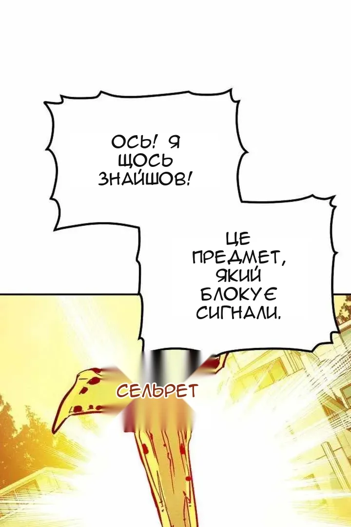 Сторінка 17