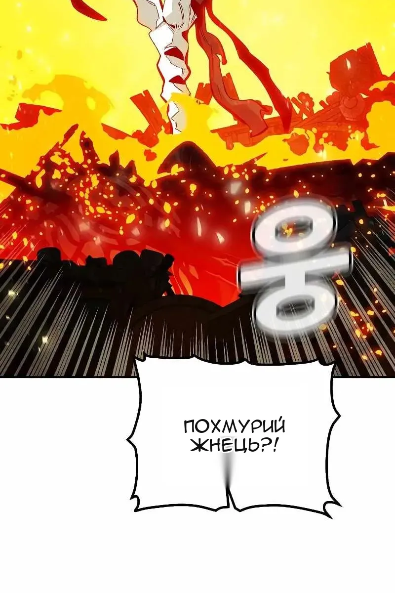 Сторінка 113