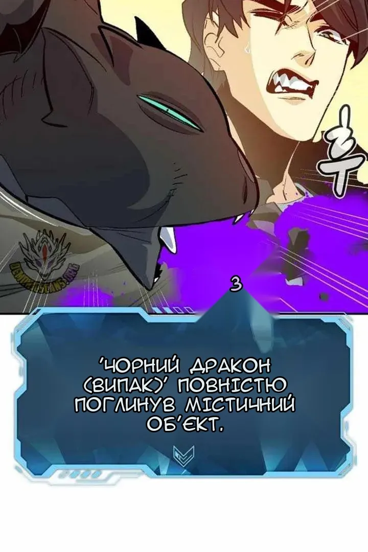 Сторінка 111