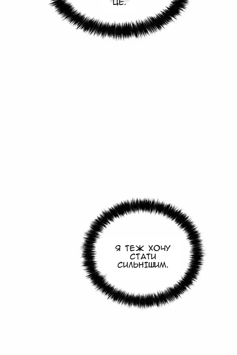 Сторінка 17