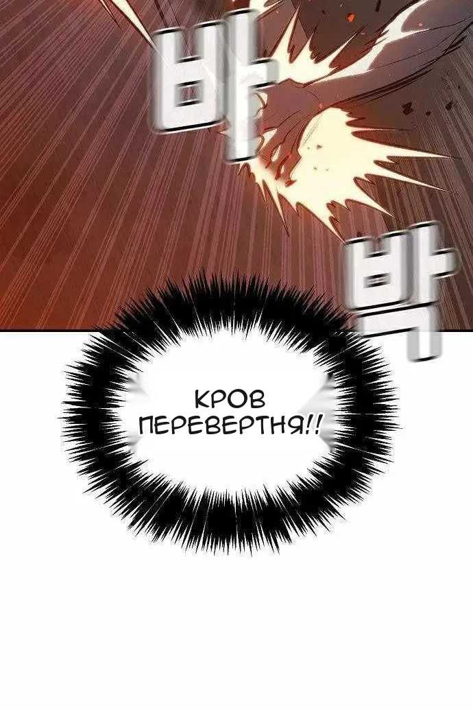 Сторінка 29