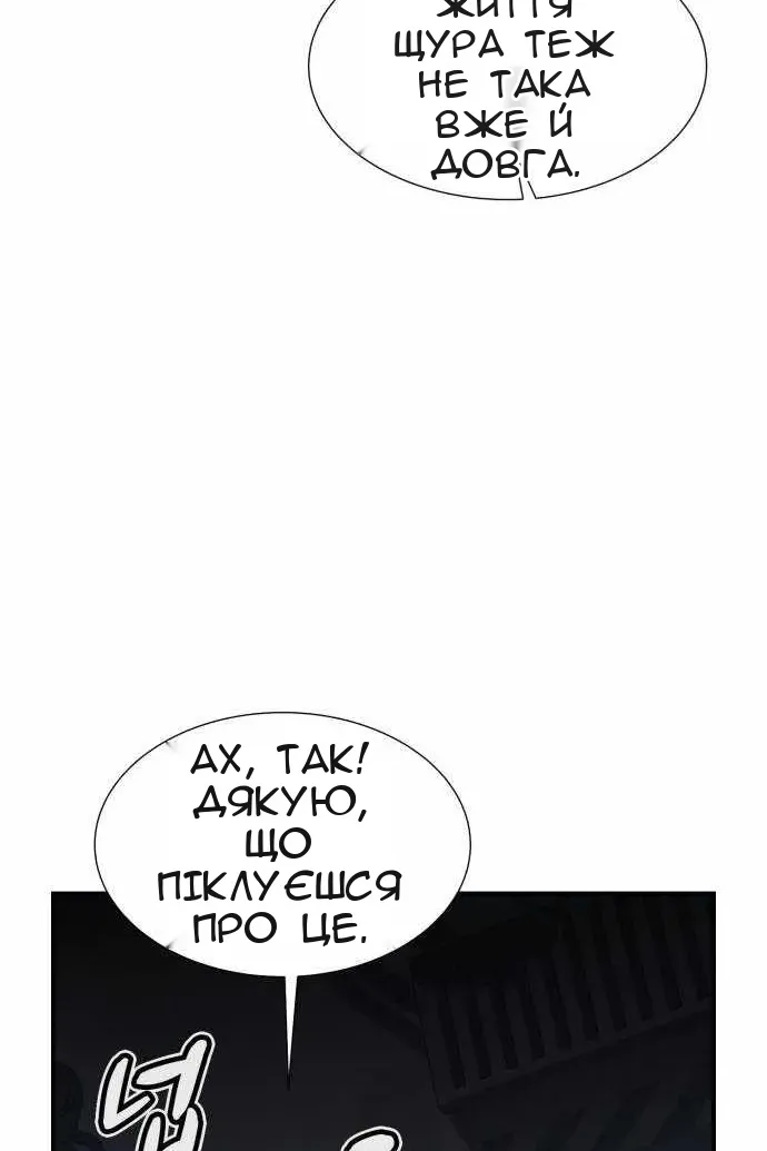Сторінка 31