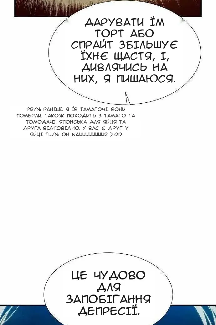 Сторінка 29