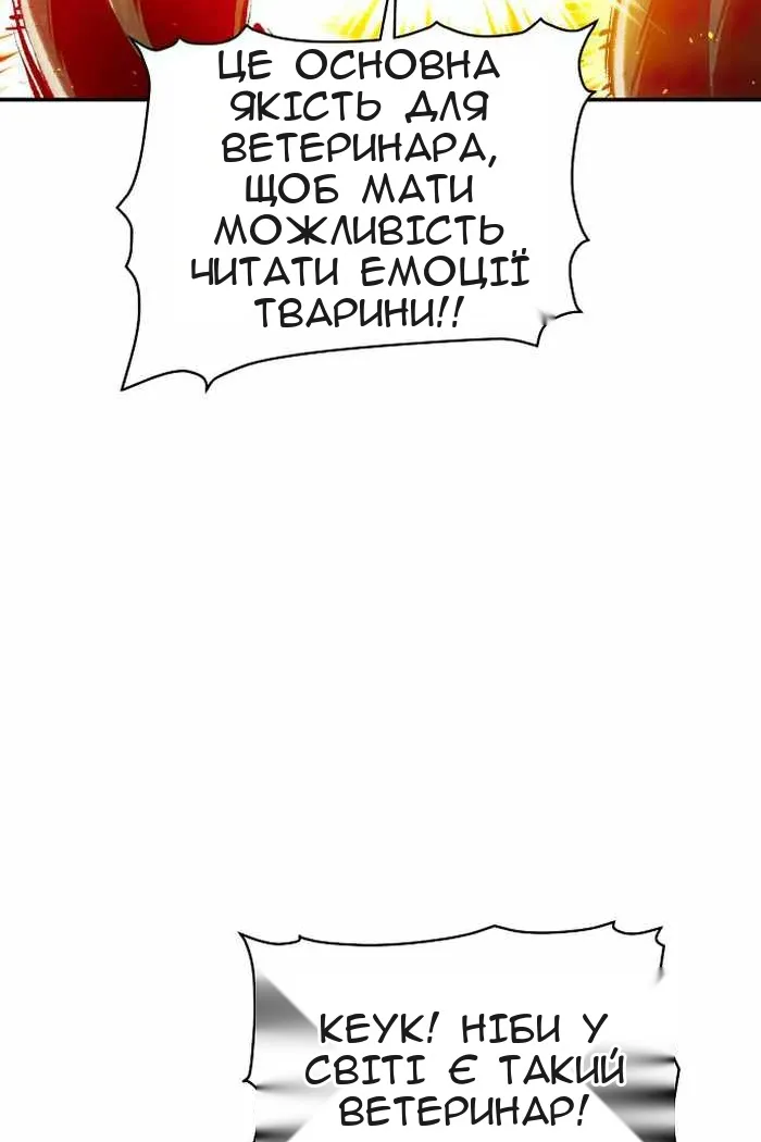 Сторінка 13