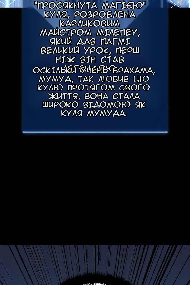 Сторінка 17