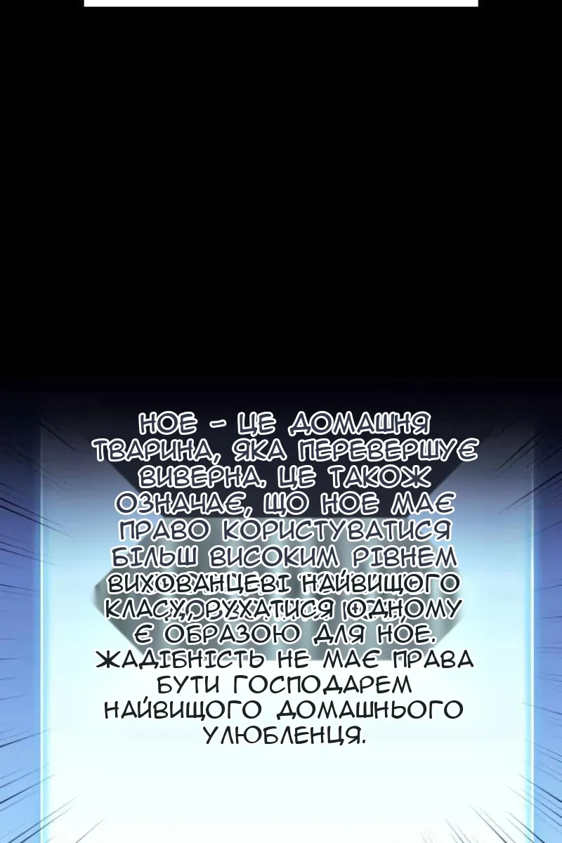 Сторінка 19