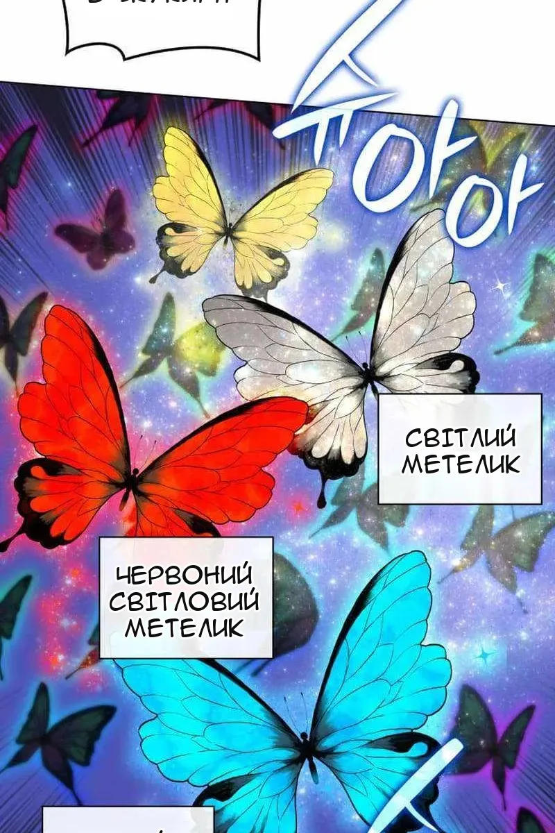 Сторінка 79