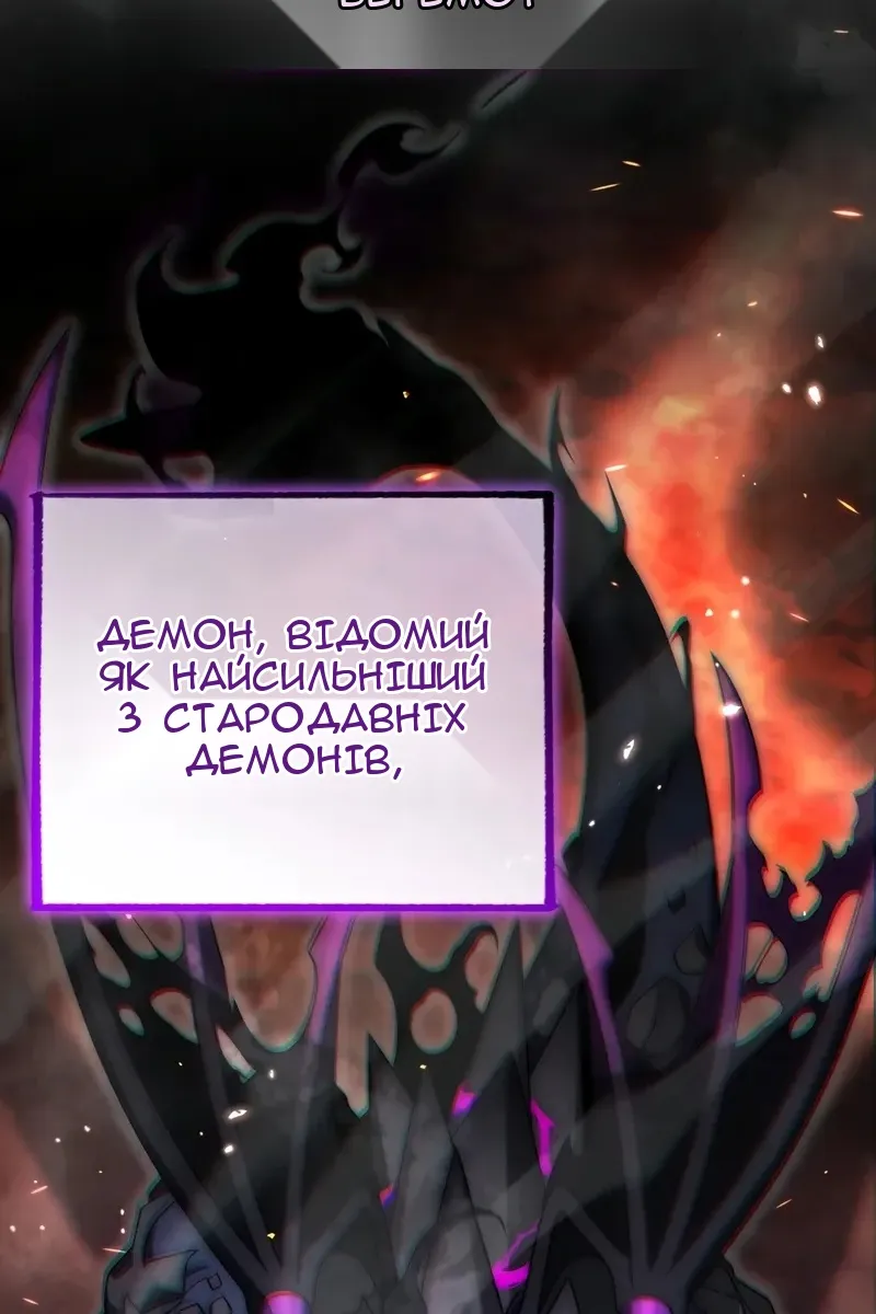 Сторінка 29