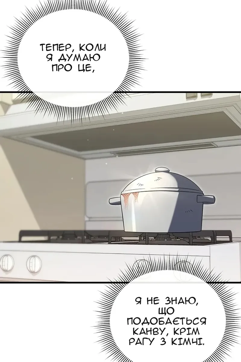 Сторінка 17