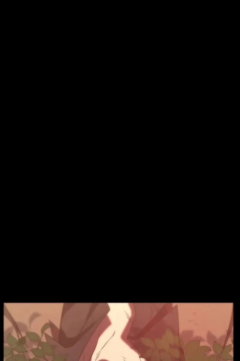 Сторінка 41