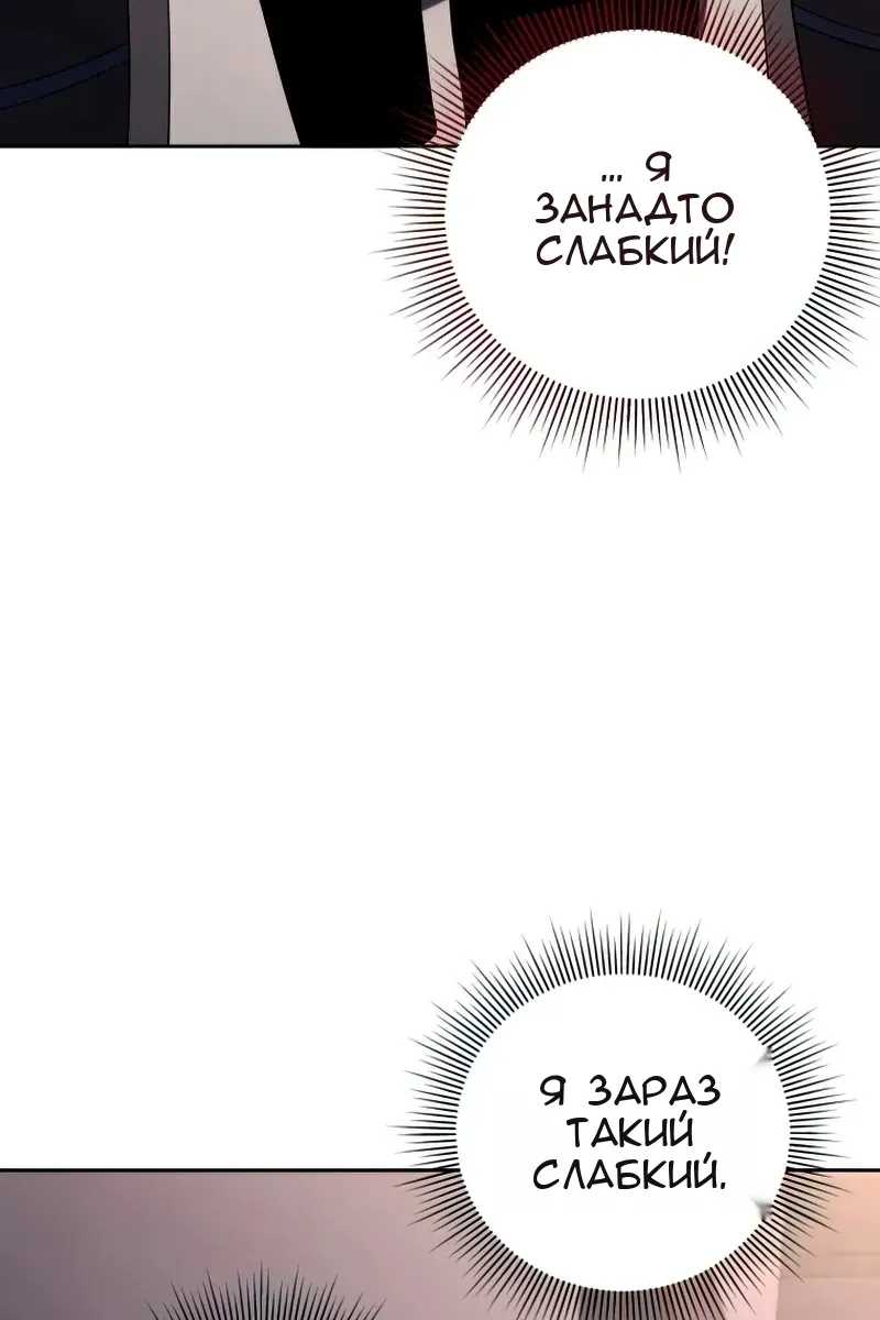 Сторінка 117