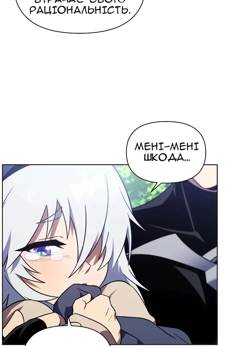 Сторінка 17