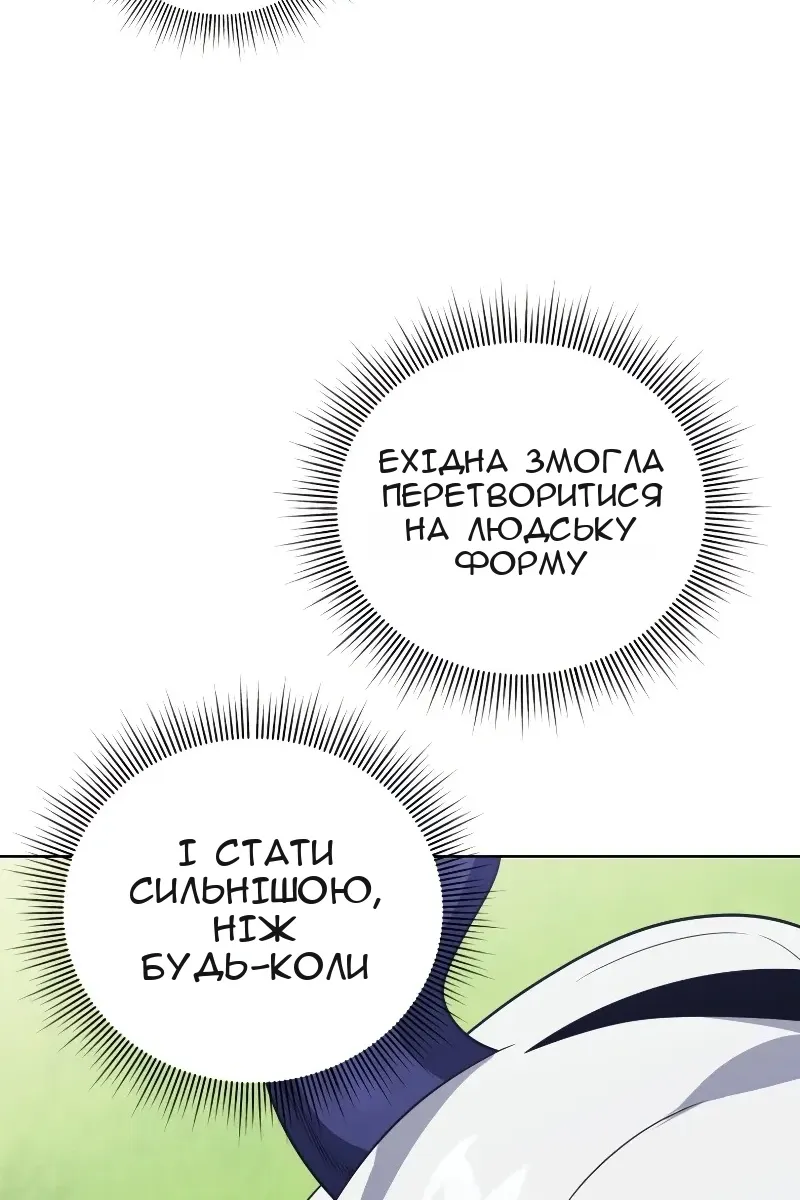Сторінка 29